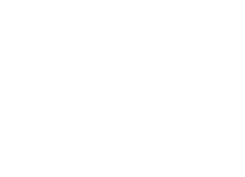 Y: El último hombre