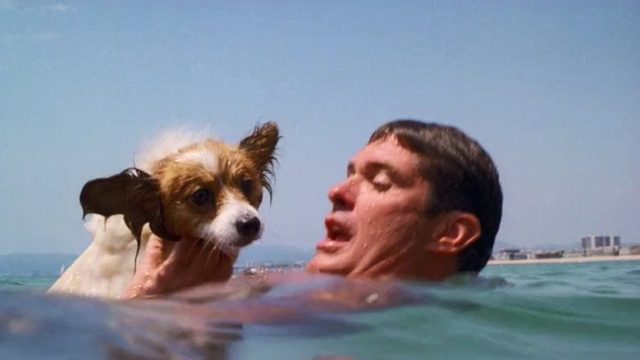 Baywatch: Guardianes de la Bahía S09E09