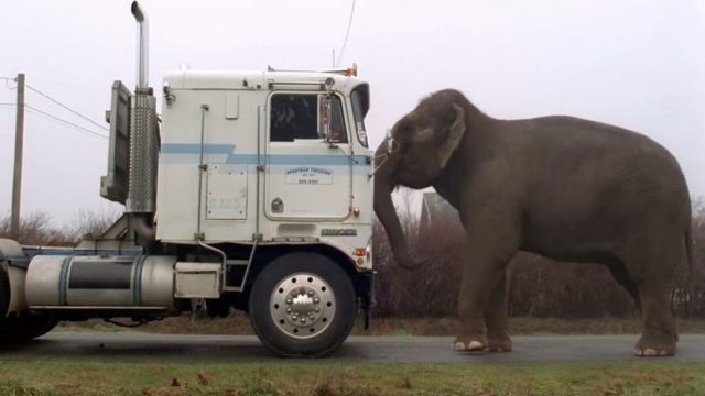 Los Expedientes Secretos X S02E18