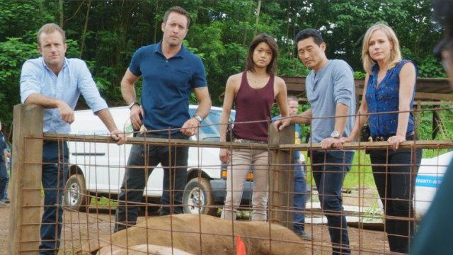 Hawaii Five-0 S06E09