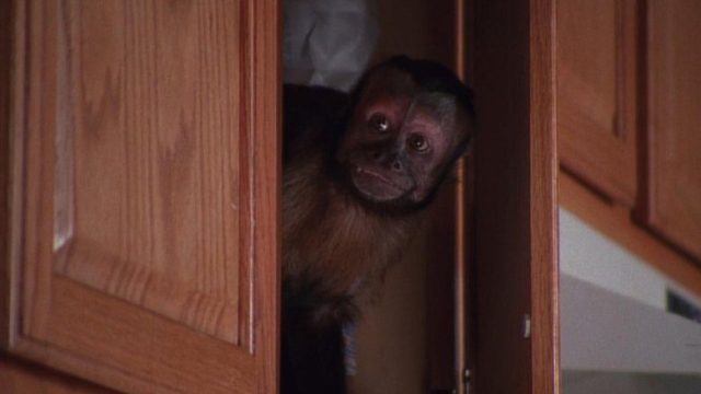 Malcolm el de en Medio S03E22