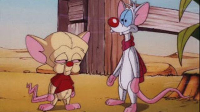 Pinky y Cerebro S03E37