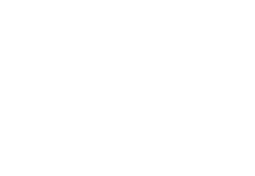 Nuevos ricos