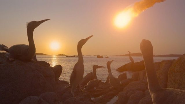 Los dinosaurios S01E04