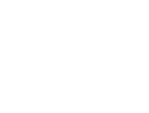 Bolt: Un perro fuera de serie