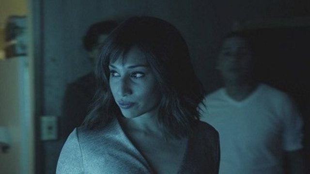 Hawaii Five-0 S09E20