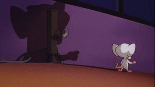 Pinky y Cerebro S03E50
