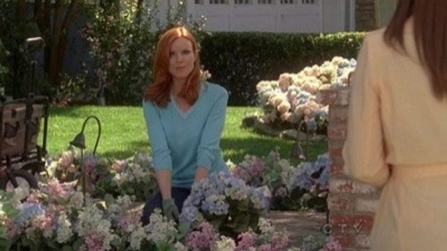 Esposas Desesperadas S07E21