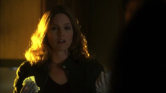 CSI: Las Vegas S03E21