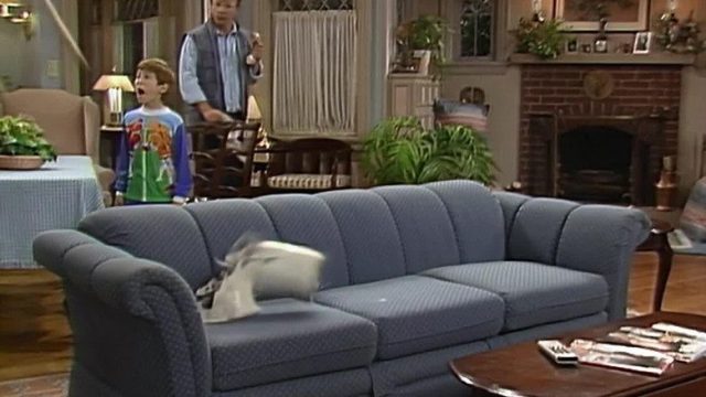 ALF S03E05