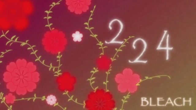 Bleach S01E224