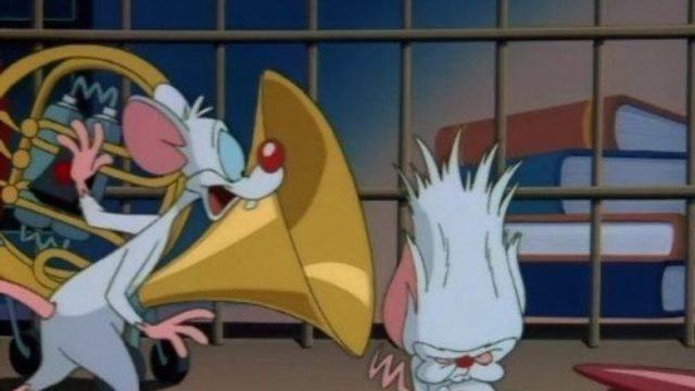 Animaniacs S01E39