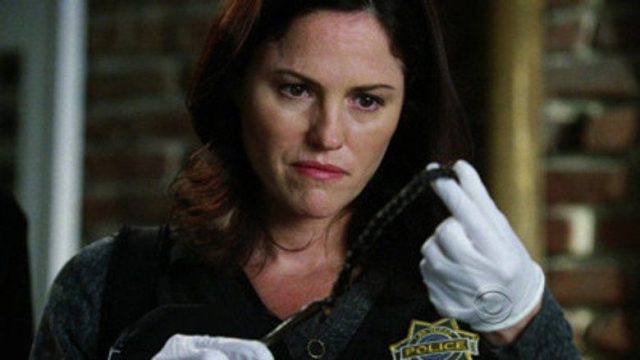 CSI: Las Vegas S12E13