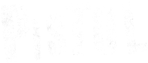 Pistol