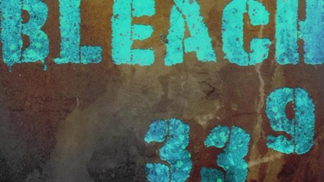 Bleach S01E339