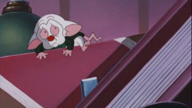 Pinky y Cerebro S03E28