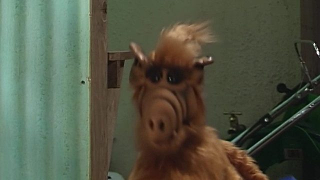 ALF S02E15