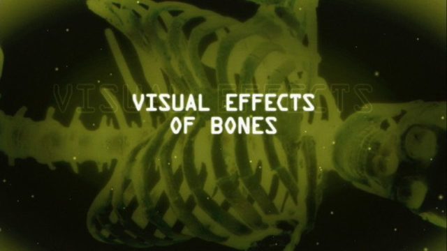 Bones S00E28