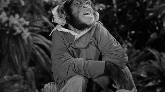 La isla de Gilligan S01E03
